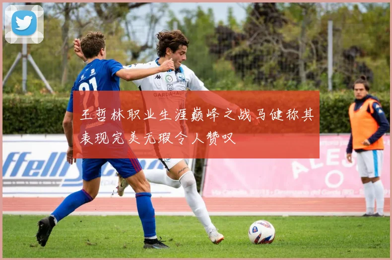 王哲林职业生涯巅峰之战马健称其表现完美无瑕令人赞叹