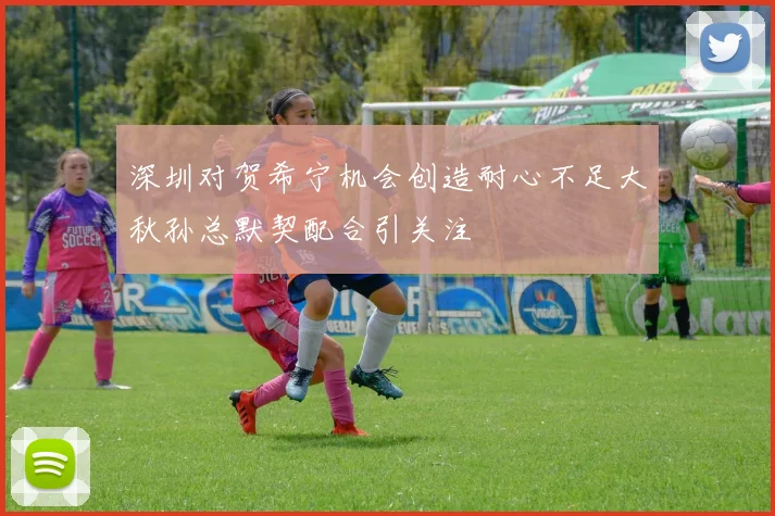深圳对贺希宁机会创造耐心不足大秋孙总默契配合引关注
